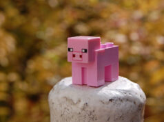 Trouvez le serveur Minecraft idéal qui correspond à votre style de jeu