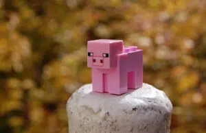 Trouvez le serveur Minecraft idéal qui correspond à votre style de jeu