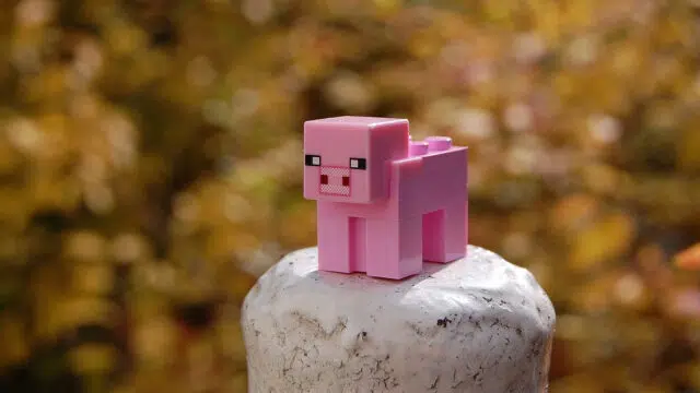 Trouvez le serveur Minecraft idéal qui correspond à votre style de jeu