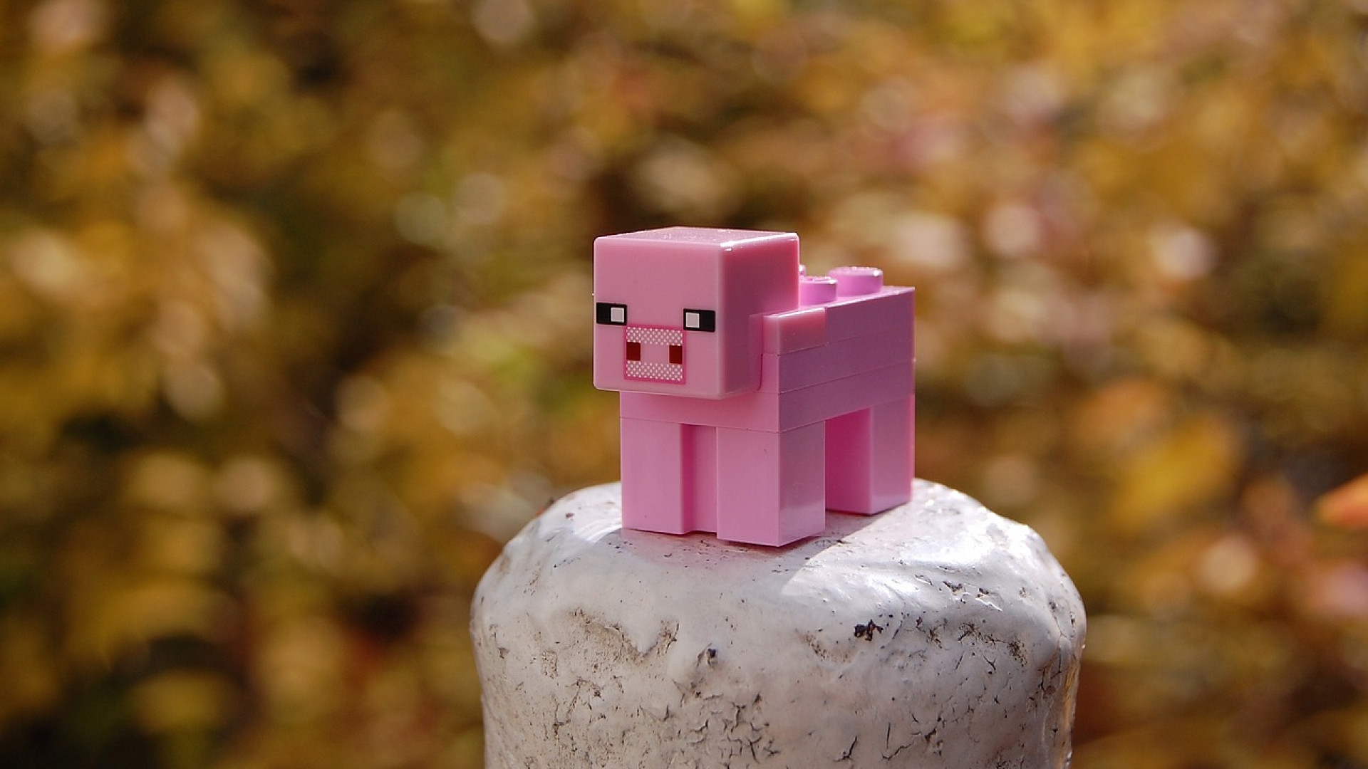 Trouvez le serveur Minecraft idéal qui correspond à votre style de jeu