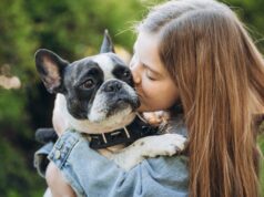 12 year old girl kissing and hugging french bulldog in park.