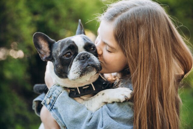 12 year old girl kissing and hugging french bulldog in park. 12 year old girl kissing and hugging french bulldog in park.