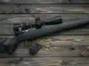 Achat d’une carabine 22LR : un guide pratique pour les débutants