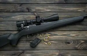 Achat d’une carabine 22LR : un guide pratique pour les débutants