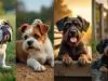 découvrez pourquoi les chiens considérés comme bizarres ou moches savent conquérir nos cœurs, et ce qui les rend si irrésistiblement attachants malgré leur apparence atypique.