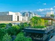 Tout ce qu’il faut savoir pour comprendre comment se procurer du CBD en France procurer cbd