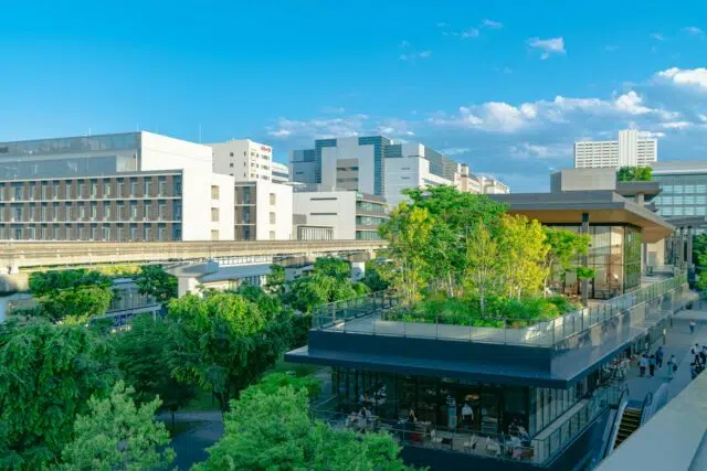 procurer cbd procurer cbd