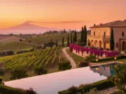 découvrez l'anatomie de la franchise érotique dni, une série controversée qui suscite le débat sur netflix.