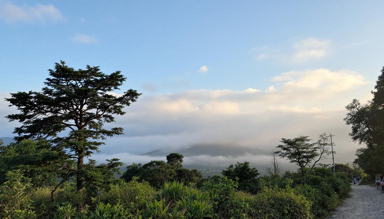 découvrez les règles essentielles de la fiscalité de l’assurance vie multisupport pour optimiser vos gains et maximiser vos bénéfices en toute sérénité.