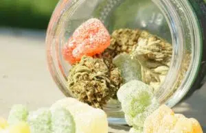 Marque française de cbd : le savoir-faire hexagonal à l’honneur Marque française de cbd