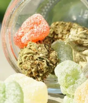 Marque française de cbd : le savoir-faire hexagonal à l’honneur Marque française de cbd