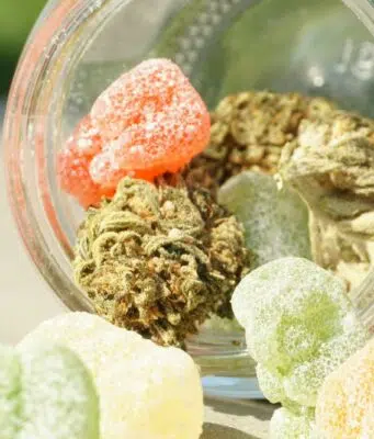 Marque française de cbd : le savoir-faire hexagonal à l’honneur Marque française de cbd