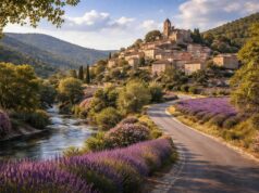 découvrez un guide complet pour explorer la région autour de la latitude 43.6502211 et longitude 3.374165, révélant ses paysages magnifiques, ses attractions uniques et conseils pratiques pour une aventure inoubliable.