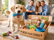 découvrez 5 bonnes raisons d'adopter une box pour chien sans abonnement, pour gâter votre compagnon à quatre pattes sans engagement et à votre rythme.