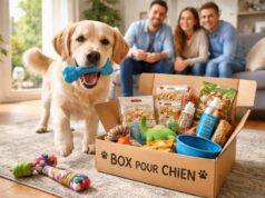 découvrez 5 bonnes raisons d'adopter une box pour chien sans abonnement, pour gâter votre compagnon à quatre pattes sans engagement et à votre rythme.