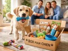 5 raisons de craquer pour une box pour chien sans abonnement découvrez 5 bonnes raisons d'adopter une box pour chien sans abonnement, pour gâter votre compagnon à quatre pattes sans engagement et à votre rythme.
