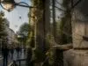 Les araignées faucheuses en milieu urbain : alliées ou ennemies ? découvrez le rôle des araignées faucheuses en milieu urbain et si elles sont des alliées bénéfiques ou des ennemies à éviter dans nos environnements citadins.