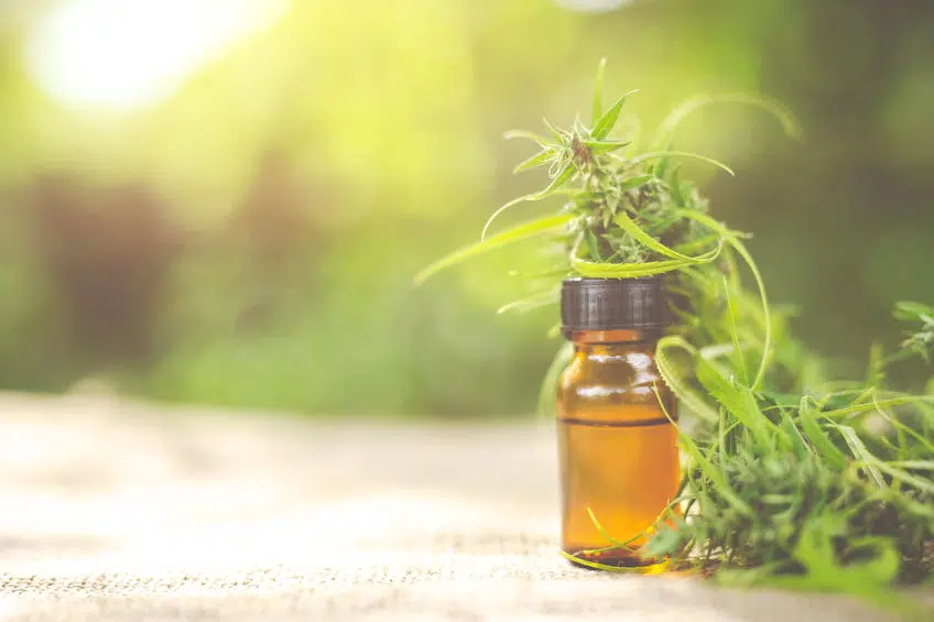 CBD
