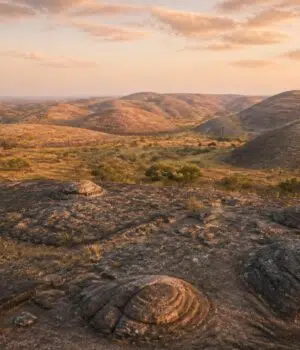 Définition de congoide : un concept clé pour comprendre le paysage ancien découvrez la définition de congoide, un concept essentiel pour mieux comprendre le paysage ancien et ses transformations historiques.