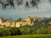 Patrimoine et voyage en Occitanie : de Carcassonne au pont du Gard sur les chemins de Compostelle Patrimoine et voyage en Occitanie : de Carcassonne au pont du Gard sur les chemins de Compostelle