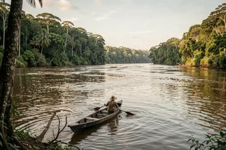 Vue panoramique du fleuve Amazone au Brésil avec une pirogue traditionnelle et la forêt tropicale dense en arrière-plan
